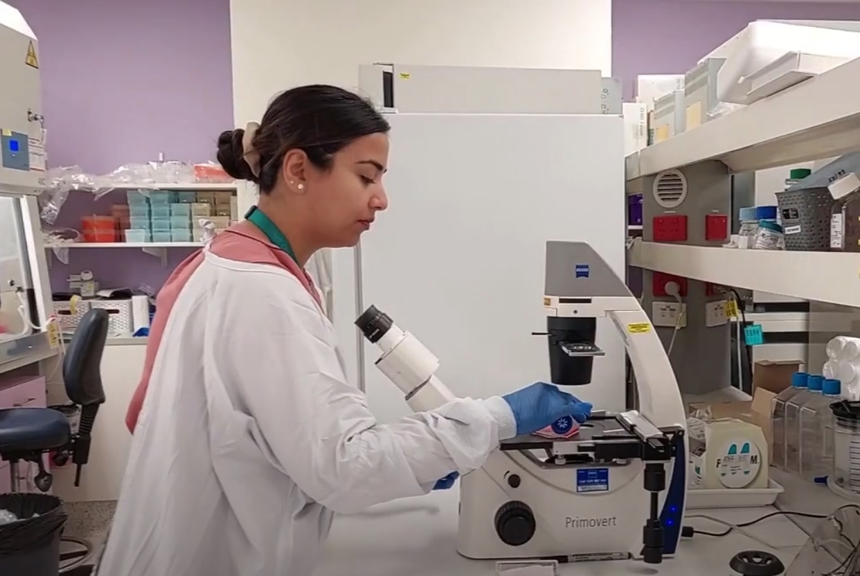 Arrow Hawkesbury Canoe Classic PhD Scholarship recipient Ritika Saxena working with a microscope in the lab investigating the generation of haematopoietic stem cells in the lab